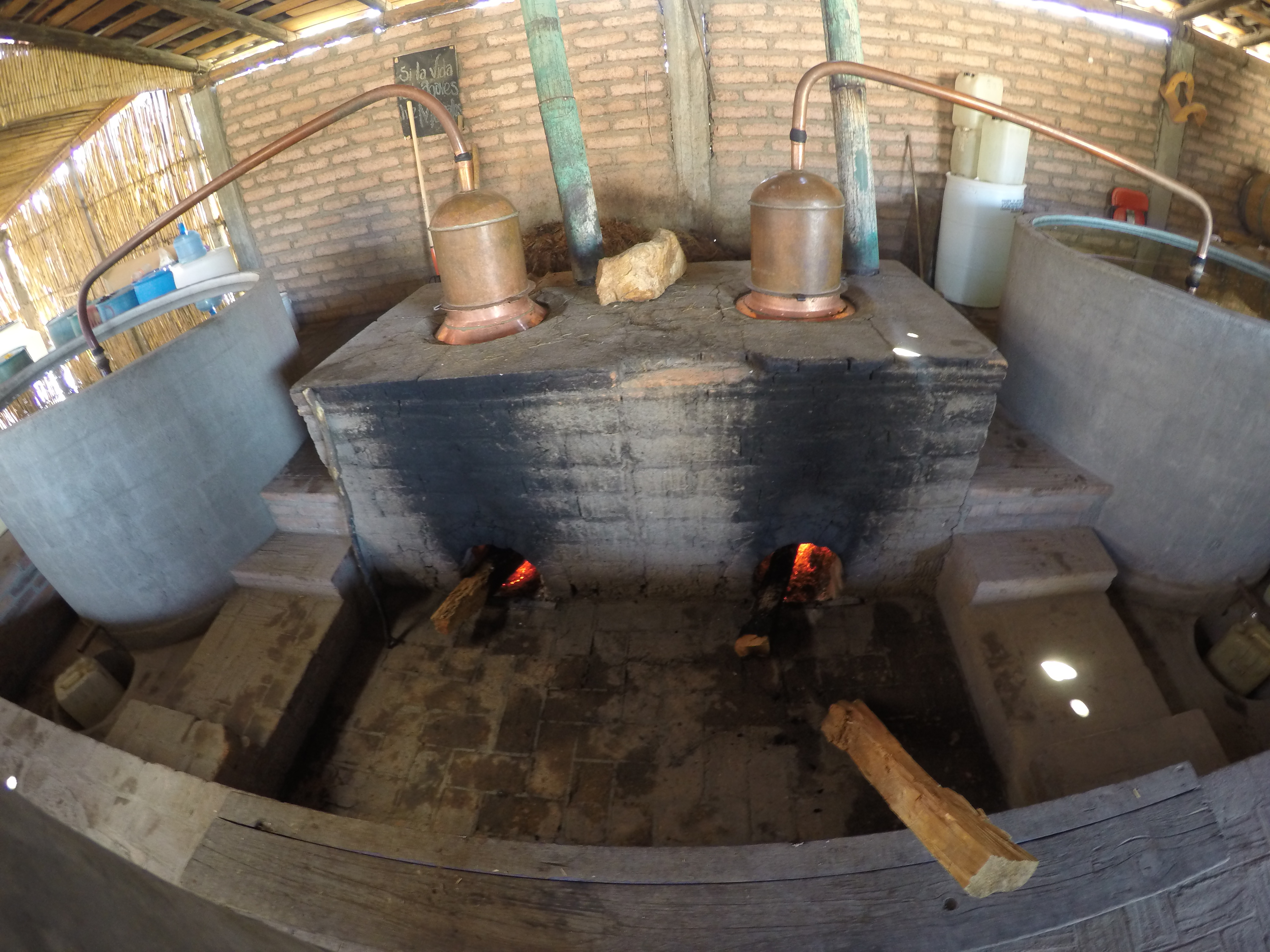 DCIM100GOPROGOPR1064.