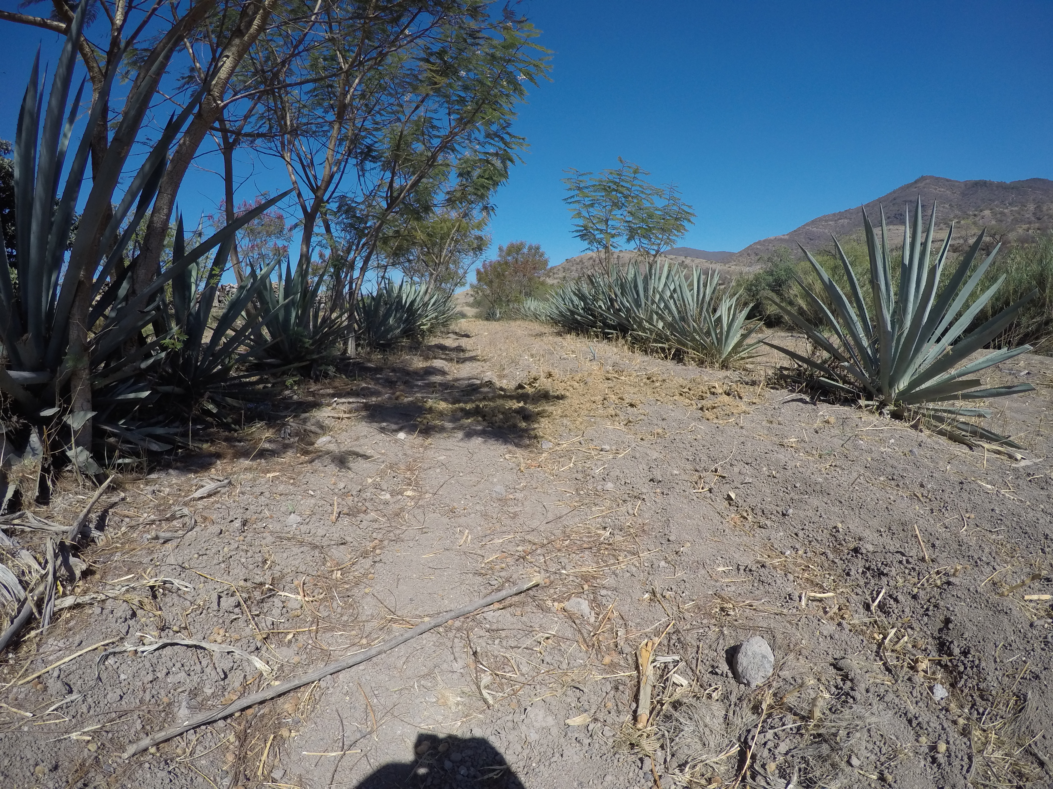 DCIM100GOPROGOPR1085.