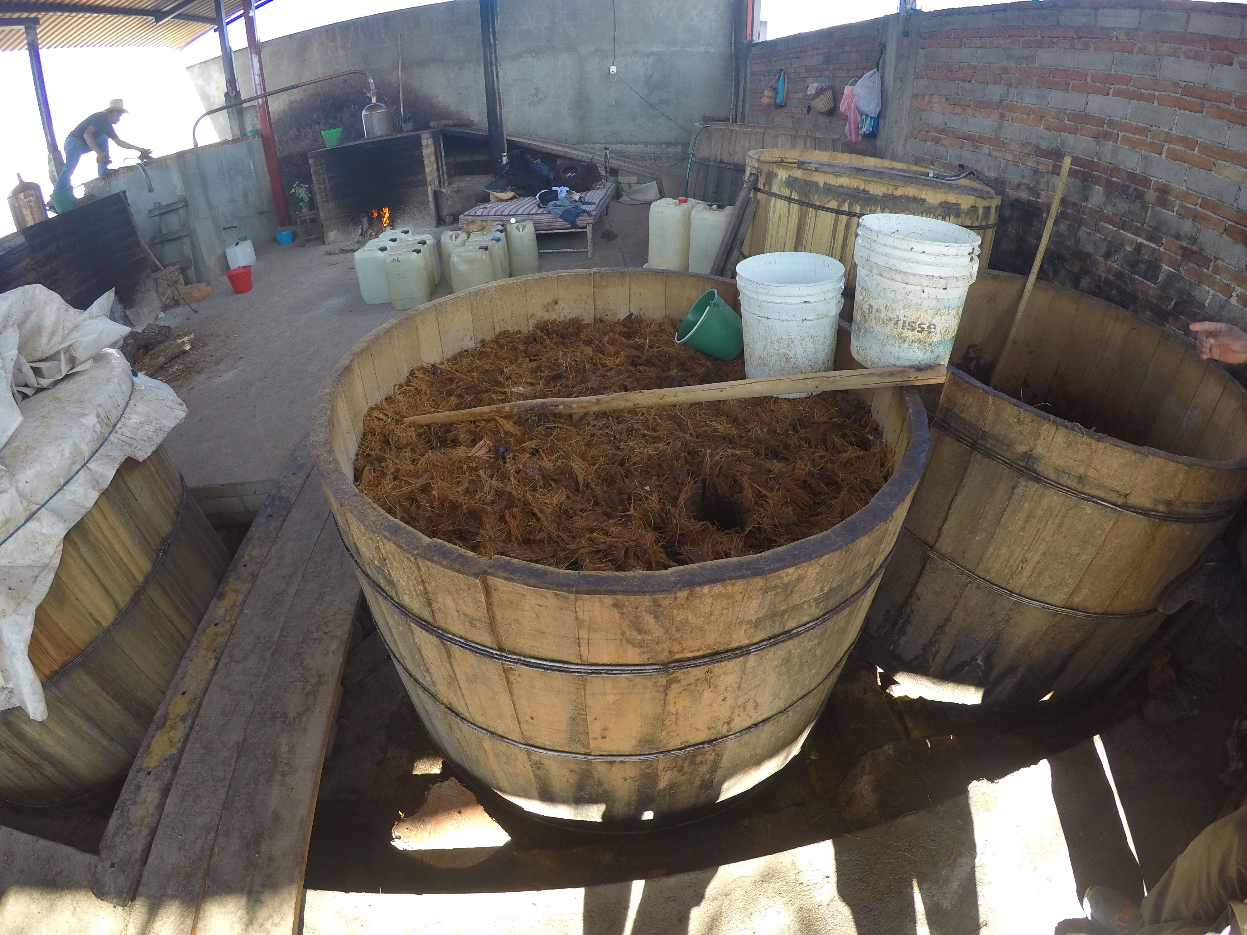 DCIM100GOPROGOPR0393.